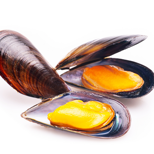 Pasteurized Organic Mussel