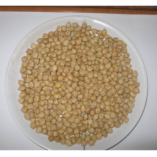 CHICK PEAS