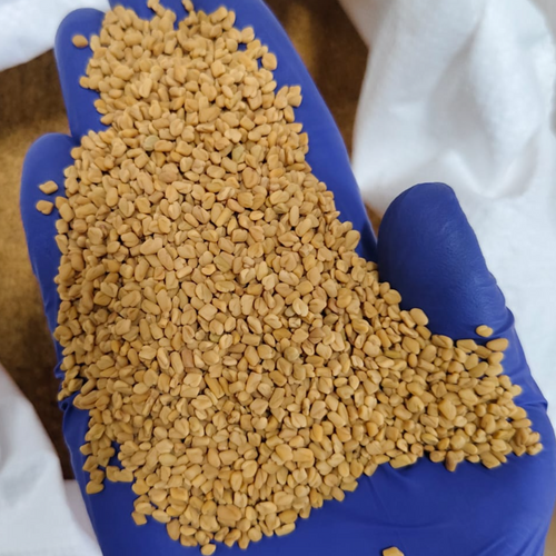 Fenugreek Seeds