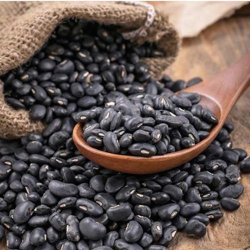 URAD SABUT