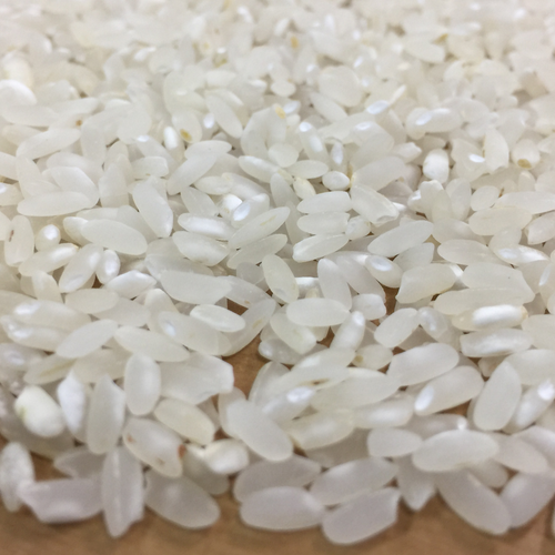 Medium grain camolino