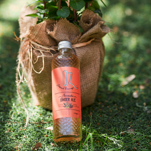 OZ AROMATIC GINGER ALE
