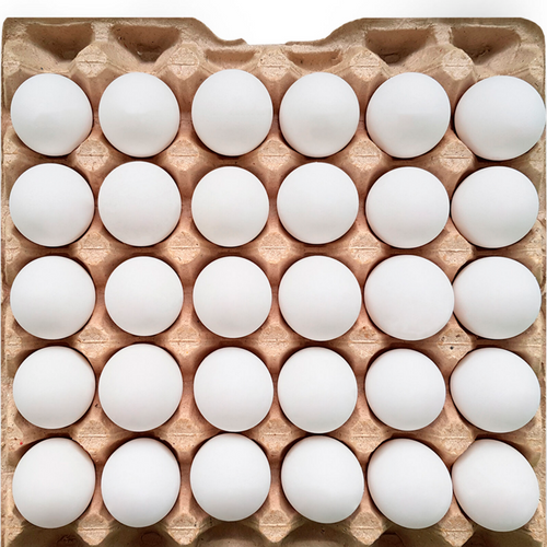 Shell Egg