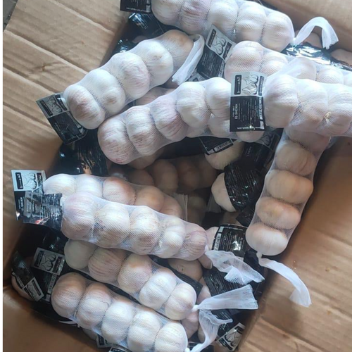 GARLIC