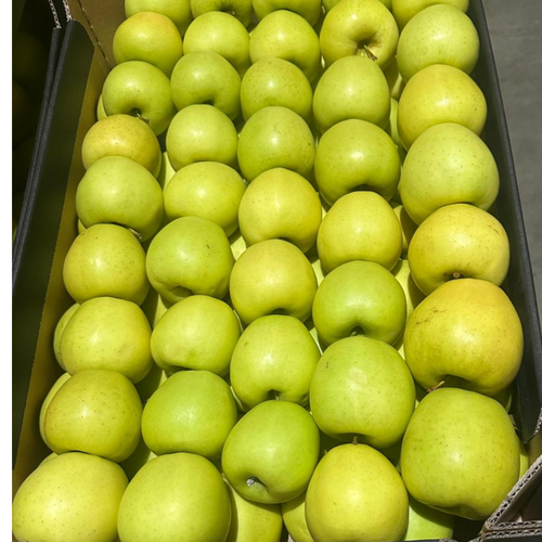 APPLES