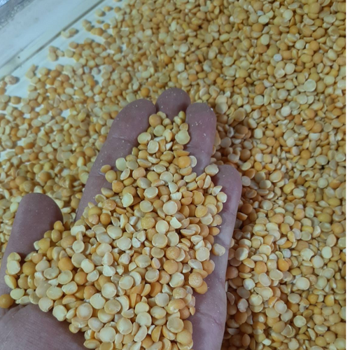 YELLOW SPLIT PEAS
