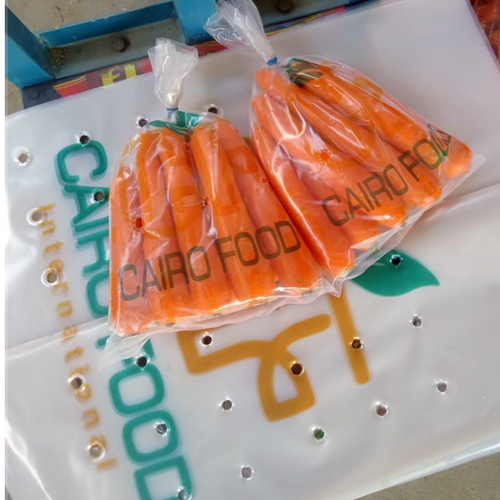 CARROT