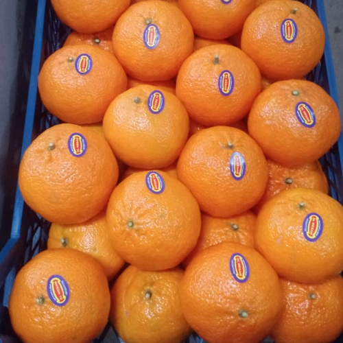 MANDARINS