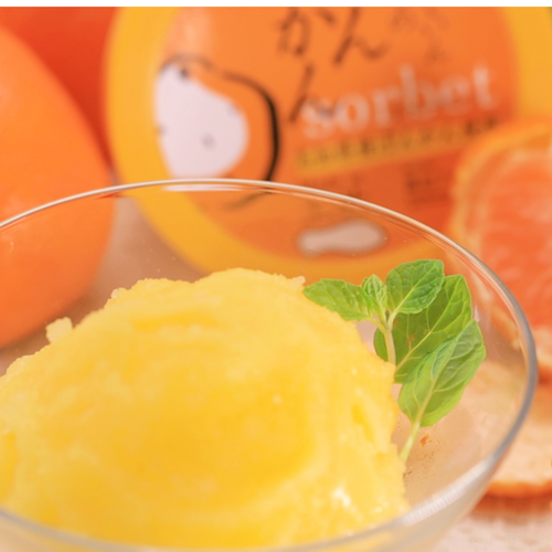 Ponkan Orange sherbet