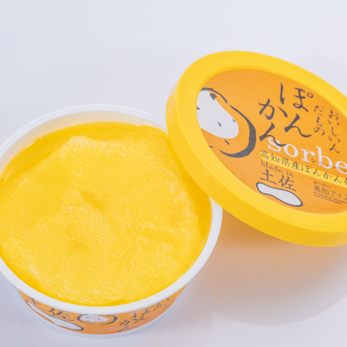Ponkan Orange sherbet