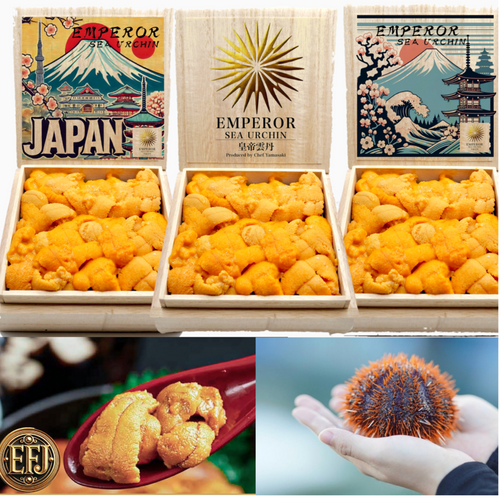The Best of Best “Emperor Sea Urchin” in Japanese histor