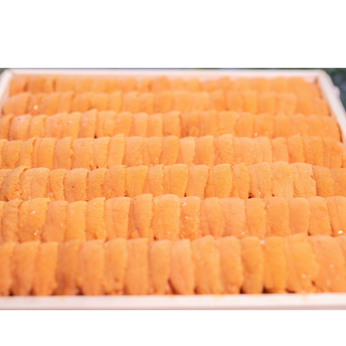 The Best of Best “Emperor Sea Urchin” in Japanese histor
