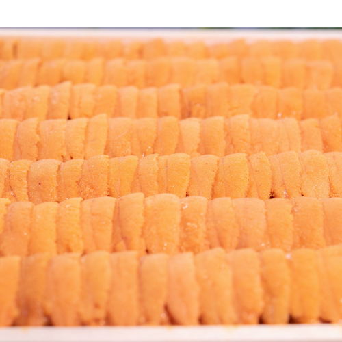 The Best of Best “Emperor Sea Urchin” in Japanese histor