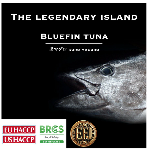 EmperorFood Japan |PremiumSashimi Grade| “Bluefin tuna”