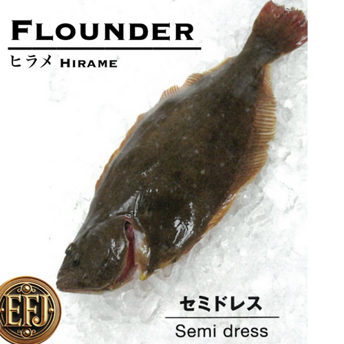 EmperorFood Japan |PremiumSashimi Grade| “Flounderl”