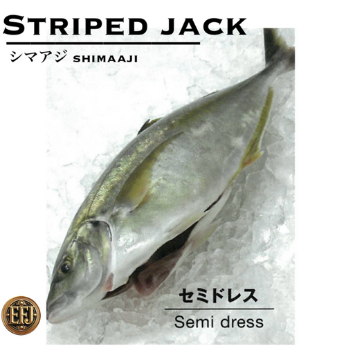 EmperorFood Japan |PremiumSashimi Grade| “Striped jack”