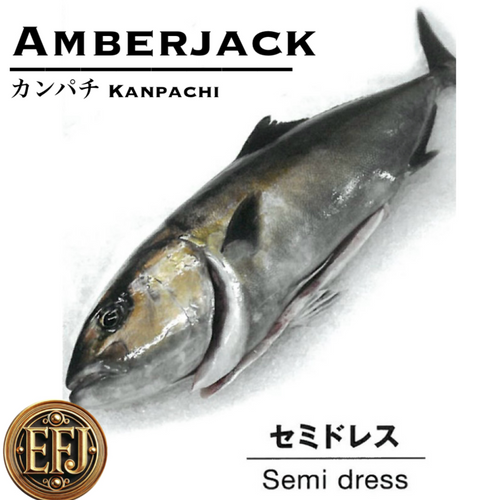 EmperorFood Japan |PremiumSashimi Grade| “Amberjack