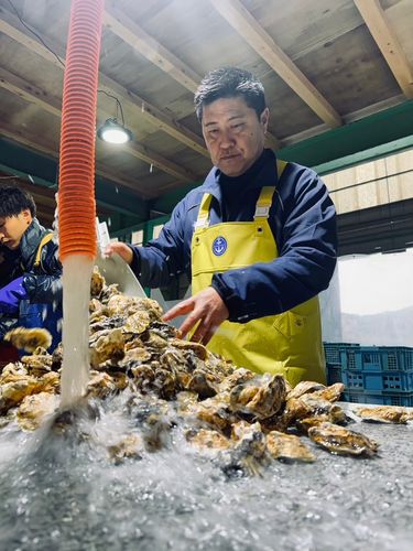 Japan Fisheries Innovative ”SeaFarm to Table”