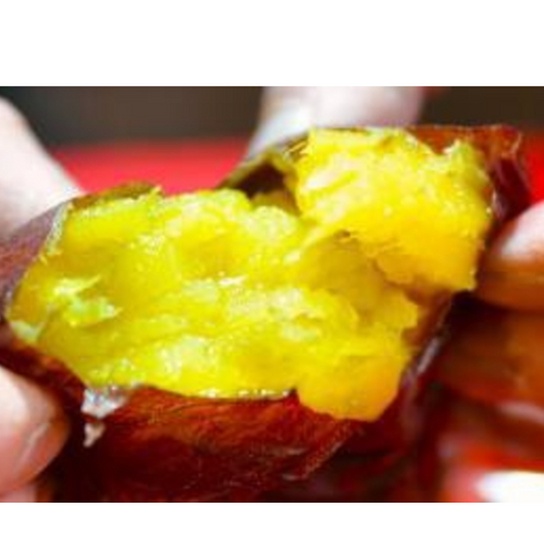 Frozen Baked Sweet Potato / Edomae Jukusei Reito Yakiimo