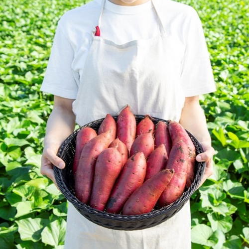 Frozen Sweet Potato