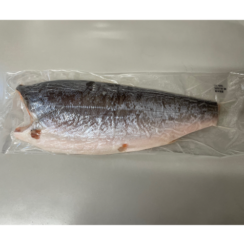 FROZEN COHO SALMON FILLET (LIGHT-SALTED)