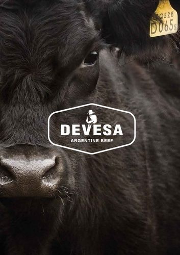 Devesa brochure