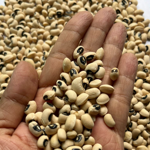 BLACK EYED BEANS