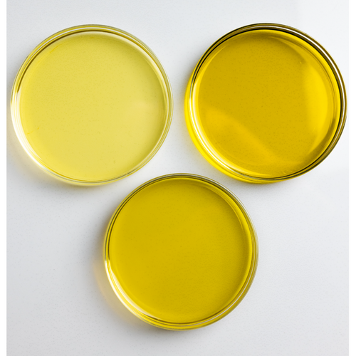 Mardouw Premium Extra Virgin Olive Oil