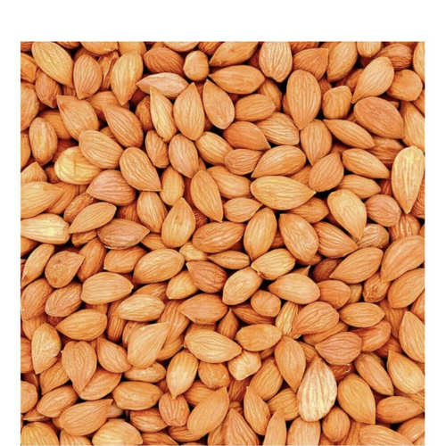 Apricot Kernels
