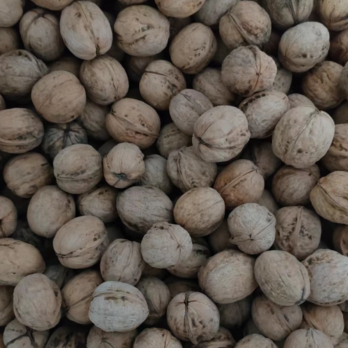 walnuts