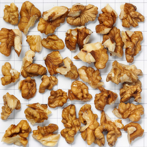 walnut kernels