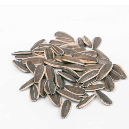SUNFLOWER SEED