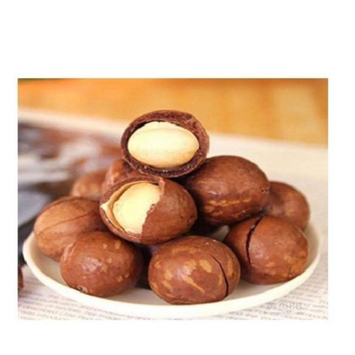 Macadamia