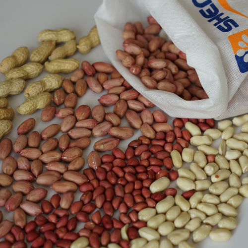 Peanut kernel traditional type, virginia type