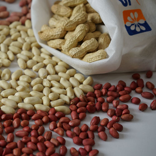 Peanuts red skin