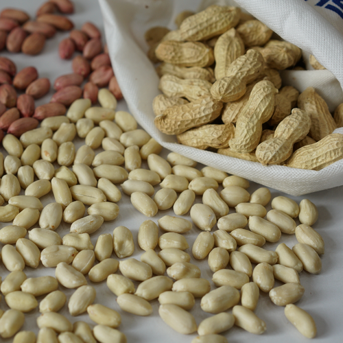 Blanched peanut kernels