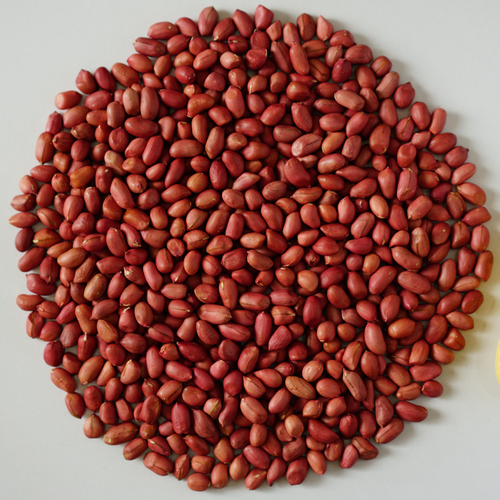 Peanuts red skin