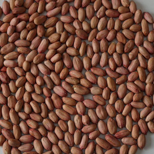 Peanut kernel traditional type, virginia type