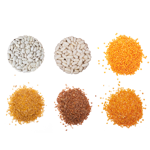 PULSES