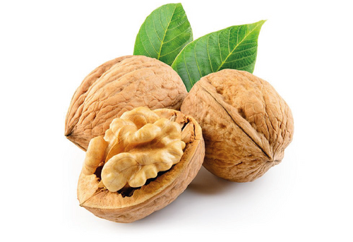 WALNUT KERNEL