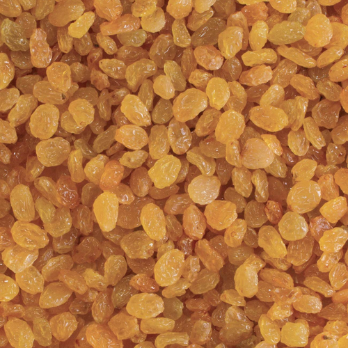 Golden Raisins