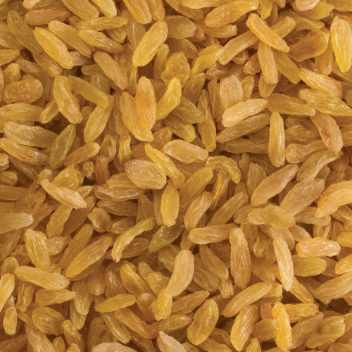 Golden Kashmar Raisins
