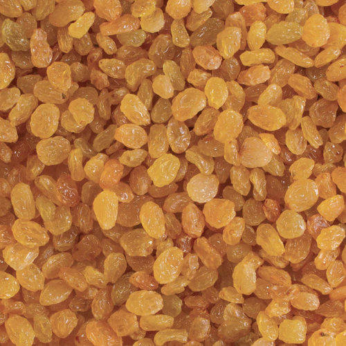 Golden Raisins