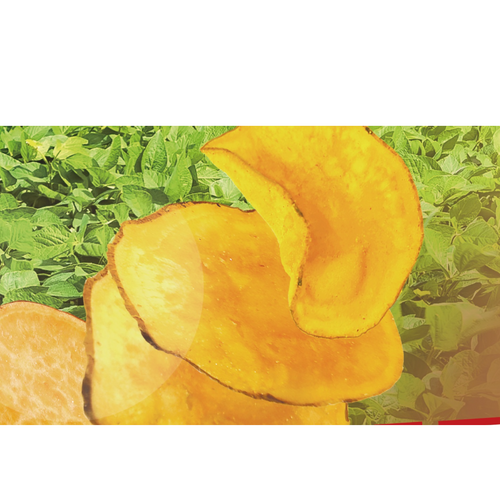 Sweet Potato Chips