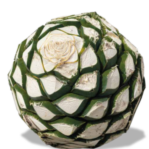 Agave Powder