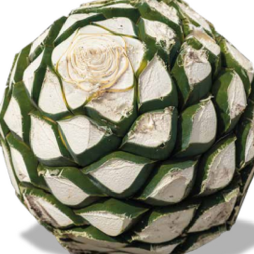 Agave Syrup