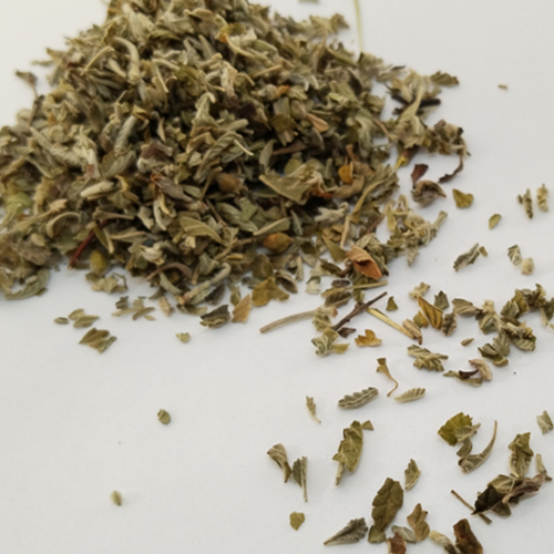 Damiana