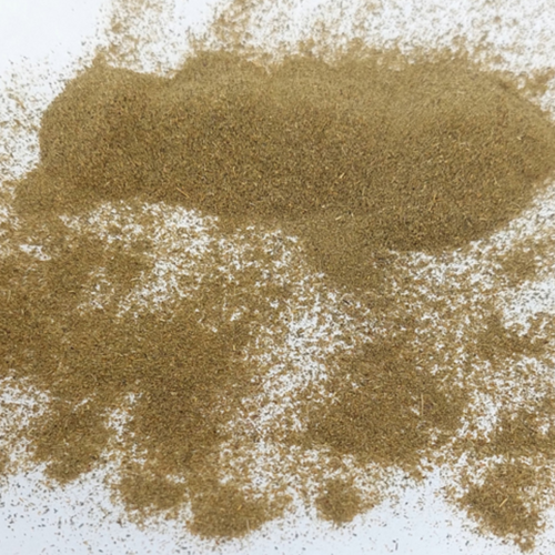Oregano