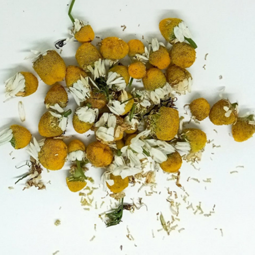 Chamomile
