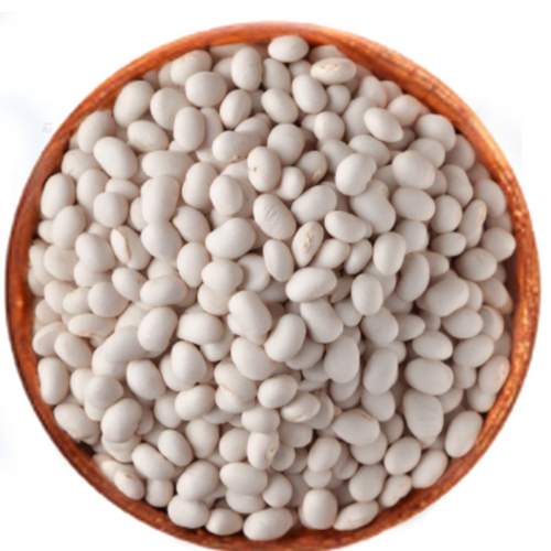 Bean/Baby Bean/ Caballero Bean/ Zarandaje Bean/ Panamito Bean